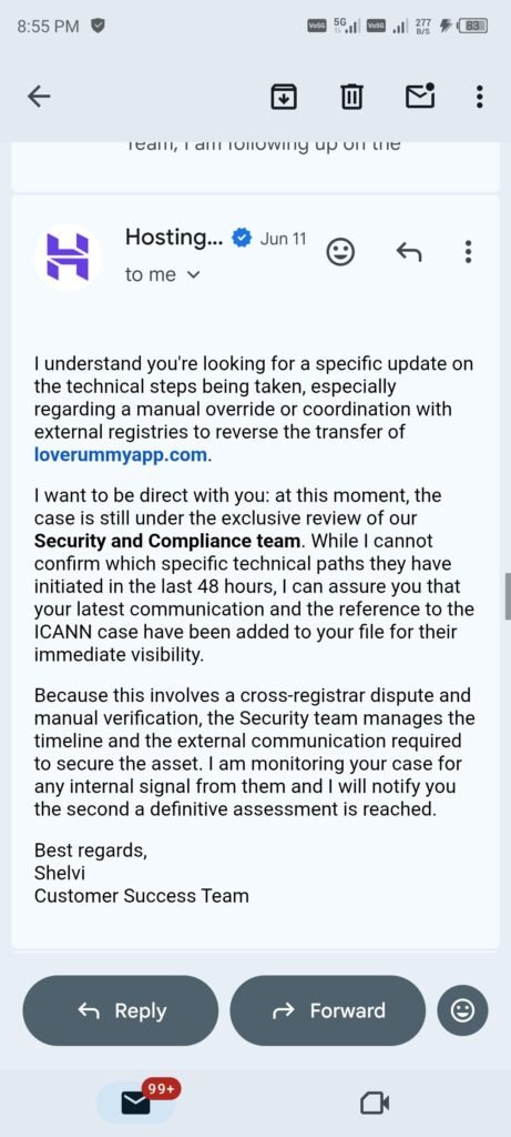 Hostinger Domain Fraud Case Study shelvi